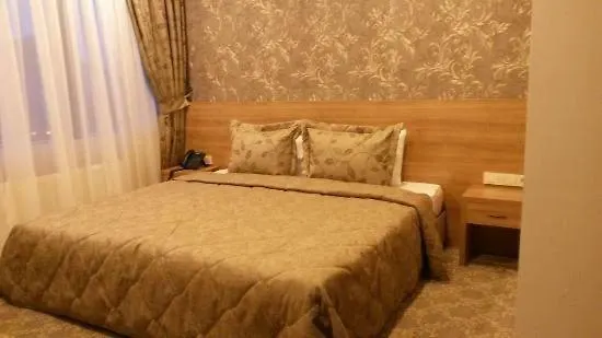 Mana Airport Hotel 2*